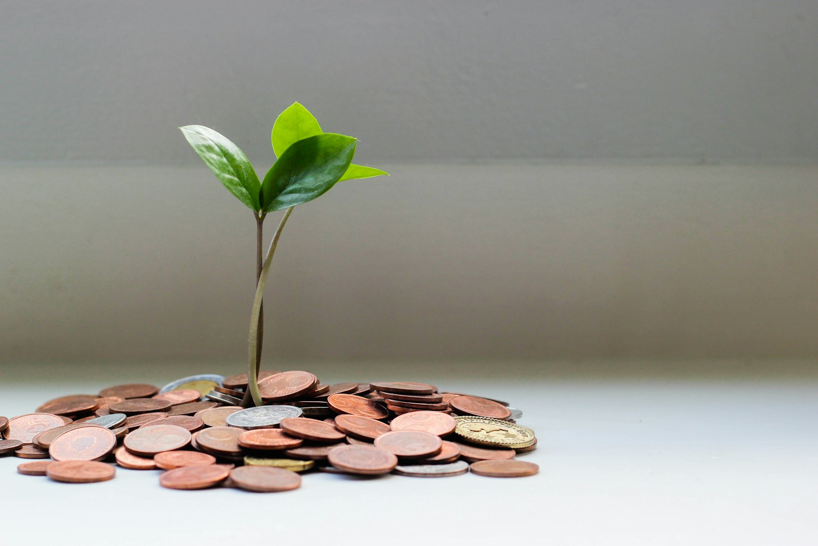 Dividend Reinvestment (DRIP): How Compounding Builds Wealth